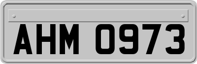 AHM0973