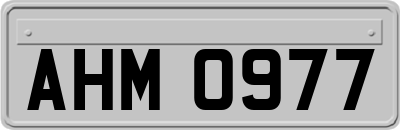 AHM0977