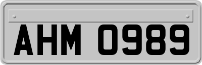 AHM0989