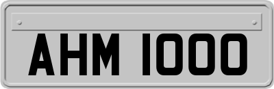AHM1000
