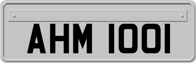 AHM1001