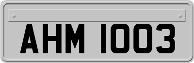 AHM1003