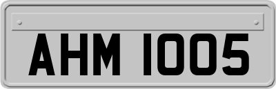 AHM1005