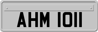 AHM1011