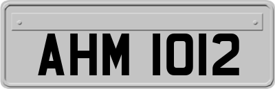 AHM1012