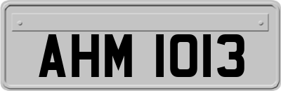 AHM1013