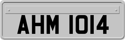 AHM1014