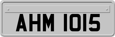 AHM1015