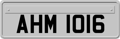 AHM1016