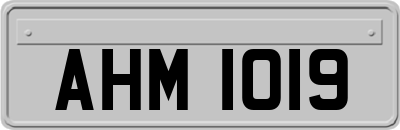 AHM1019