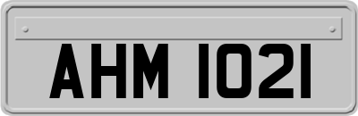 AHM1021