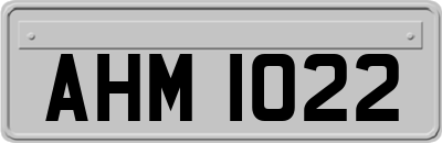 AHM1022