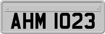 AHM1023