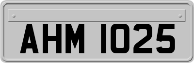 AHM1025