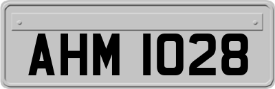 AHM1028
