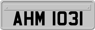 AHM1031
