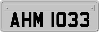 AHM1033