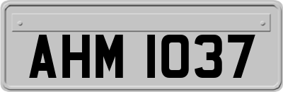 AHM1037