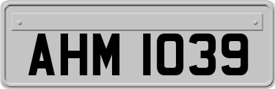 AHM1039