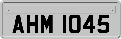 AHM1045