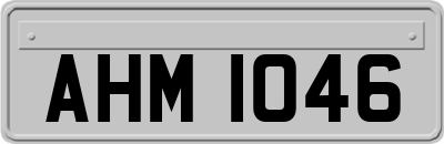 AHM1046