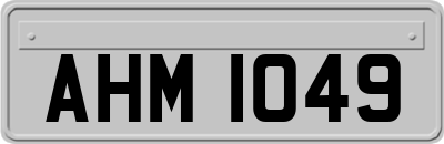 AHM1049