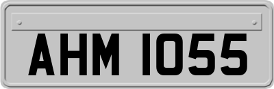 AHM1055