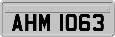 AHM1063