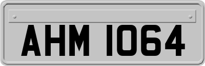 AHM1064
