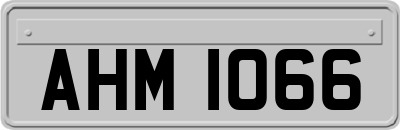 AHM1066