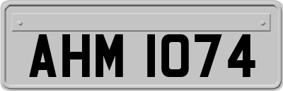 AHM1074