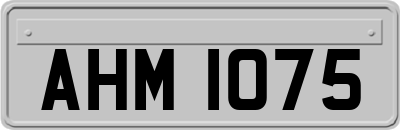 AHM1075