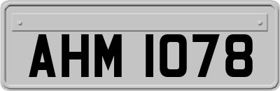 AHM1078
