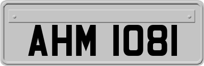 AHM1081
