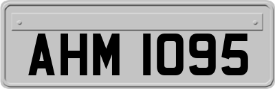 AHM1095