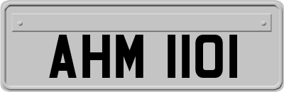 AHM1101