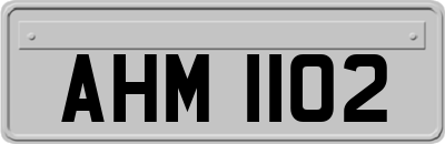 AHM1102
