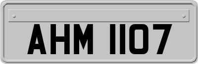 AHM1107