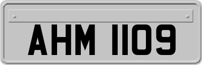 AHM1109
