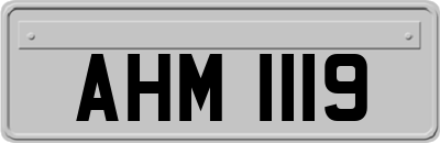 AHM1119