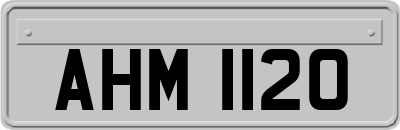 AHM1120