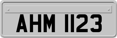 AHM1123