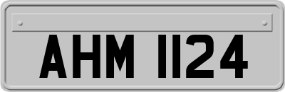 AHM1124
