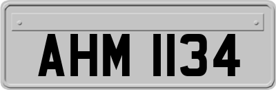 AHM1134