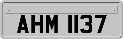 AHM1137