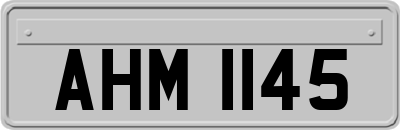 AHM1145