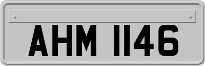 AHM1146