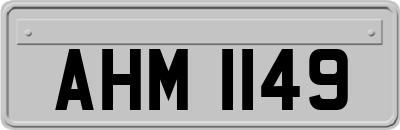 AHM1149