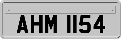 AHM1154
