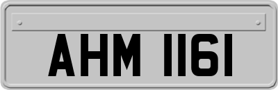 AHM1161
